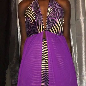 Zebra Print Sheer Top & Shorts